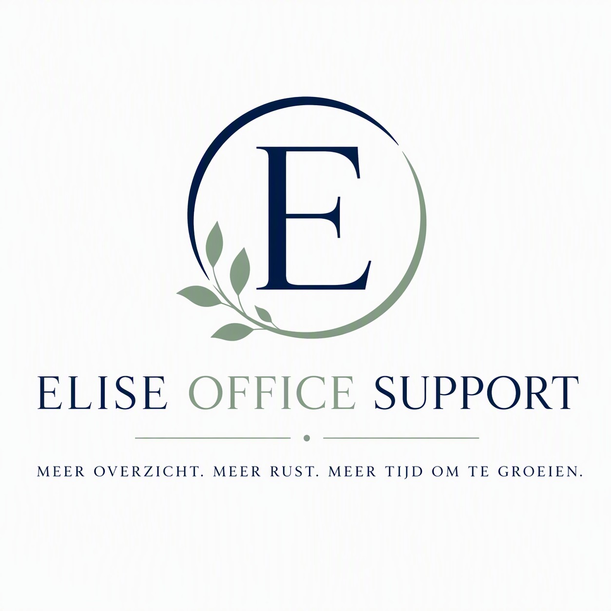 eliseofficesupport.nl